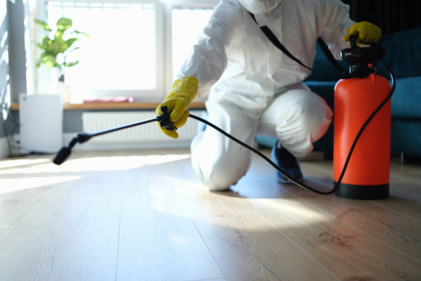 Reliable Odor Removal contractor in Fort Worth, TX by Trauma Clean Pros